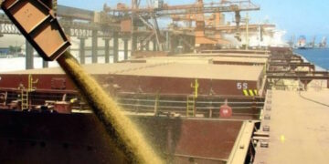 Vérités sur les céréales ukrainiennes : dangers pour la filière céréale française