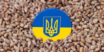 Accord céréalier : les sommets du cynisme occidental (I)