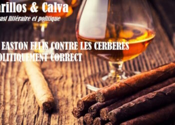 Bret Easton Ellis contre les cerbères du politiquement correct