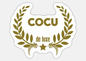 L&rsquo;Angleterre sous le Covid : une leçon de souverainisme