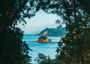 «L&rsquo;Île des naufragés» de Louis Even