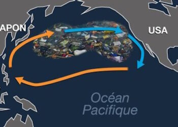 Poupées gonflables et sex-toys : une reconversion commerciale du « plastique » ? Pas sûr, mais une activité commerciale en pleine croissance !