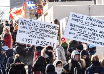 Après le Canada, le « Convoi de la liberté » s’organise en Europe et en France