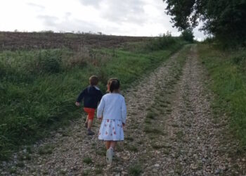 Démographie française : état des lieux