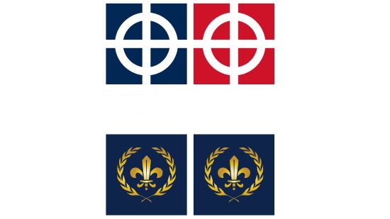 Drapeau Français croix celtique – Boutique nationaliste