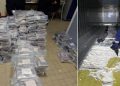 La lutte contre le trafic de drogue ne passe pas par la suppression des espèces…