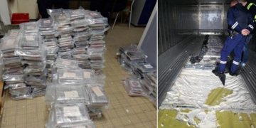 La lutte contre le trafic de drogue ne passe pas par la suppression des espèces…