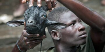 Enrichissement culturel : Voodoo satanique dans la banlieue de Nantes