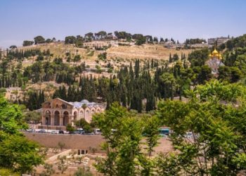 L’église de l’Ascension du Mont des Oliviers : la seule mosquée au monde où on célèbre l‘Eucharistie !