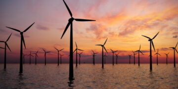 Les pêcheurs artisans français avertissent contre les dangers des éoliennes off-shore