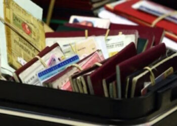 Immigration clandestine, fraude au séjour et faux papiers : une filière démantelée illustre l’ampleur du phénomène