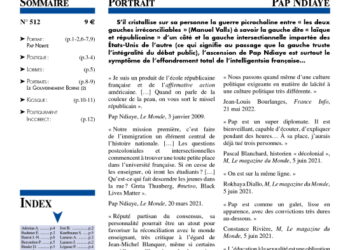 Faits & Documents : Portrait : Pap Ndiaye