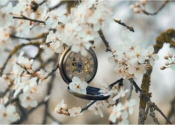 Courage, relève-toi ! – Par Fleur d’Epine