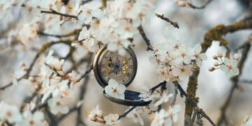 Courage, relève-toi ! – Par Fleur d’Epine