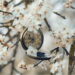 Courage, relève-toi ! – Par Fleur d’Epine