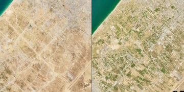 Gaza : le théâtre d’un anéantissement