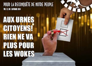 Le Harfang : Aux urnes citoyens ! Rien ne va plus pour les wokes