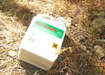 Glyphosate : la macronie a cédé aux sirènes du lobby chimique