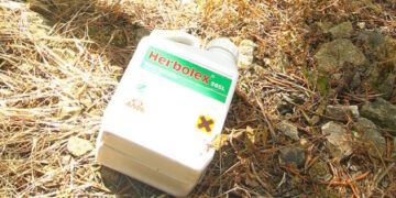 Glyphosate : la macronie a cédé aux sirènes du lobby chimique