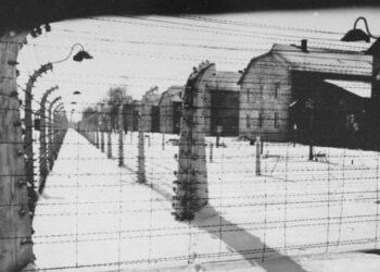 400 films et documentaires sur l’Holocauste dans le monde. Et en France ?