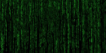 Digital Service Act : vers la censure massive et préventive d&rsquo;internet