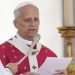 Invasion : le pape Léon XIV dans la droite ligne de Bergoglio – Les Nationalistes