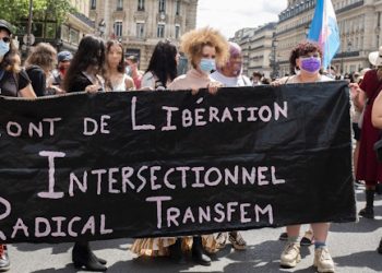 La nouvelle gauche : marxisme culturel, wokisme, homosexualisme…