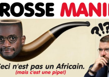 Racisme à l’Assemblée. RHHÔÔÔ !