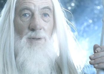 Lyon : relaxe d’un démocrate participatif !