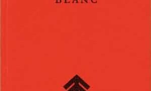 Nouveauté : Manifeste nationaliste blanc – Greg Johnson