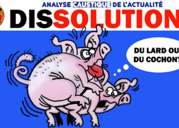 Analyse et récapitulatif humoristique et irrévérencieux des infos de la semaine : spécial dissolution…