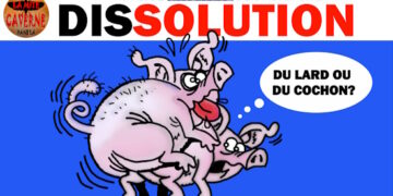 Analyse et récapitulatif humoristique et irrévérencieux des infos de la semaine : spécial dissolution…