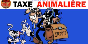 Des taxes en pagaye, Mbappé en Suède, cycliste écrasé, Meloni reprend ses migrants