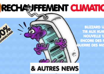 J’aurais vraiment voulu vous souhaiter une BONNE ANNÉE !