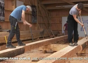 Notre Dame : Savoir-faire oublié, une charpente comme au Moyen Âge