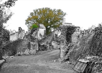 Oradour-sur-Glane : pour entretenir la mémoire, une forêt de 205 chênes plantée !