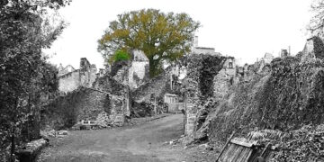 Oradour-sur-Glane : pour entretenir la mémoire, une forêt de 205 chênes plantée !