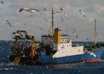 Le système de « quotas de pêche » de l’UE contribue à la destruction des filières artisanales