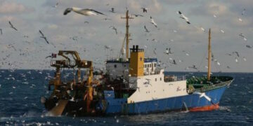 Le système de « quotas de pêche » de l’UE contribue à la destruction des filières artisanales