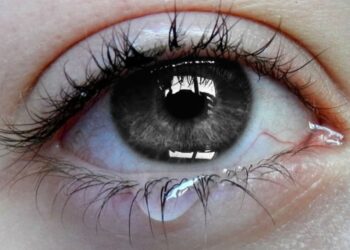 De la barbarie étrangère et ordinaire : palmarès du 7 au 13 mars