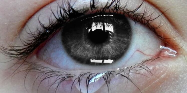 De la barbarie étrangère et ordinaire : palmarès du 7 au 13 mars