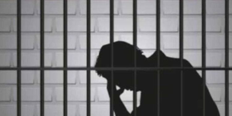 La garde à vue – Par Pierre-Marie Bonneau – 4 décembre 2021 – Lyon