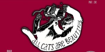 Le militant nationaliste face à la répression – Par Pierre-Marie Bonneau – Bordeaux – 10 décembre 2021