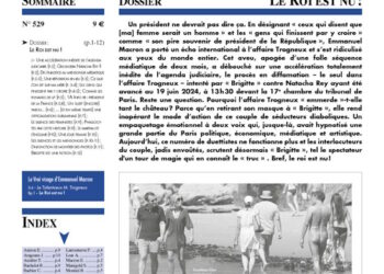 Faits & Documents : Le roi est nu