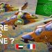 La France déploie 4 hélicoptères Tigres aux Émirats Arabes Unis pour contrer les drones iraniens