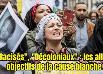 Racisés, décoloniaux : les alliés objectifs de la cause blanche – Boris Le Lay