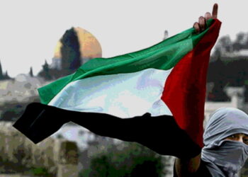 Palestine occupée : Honneur aux résistants