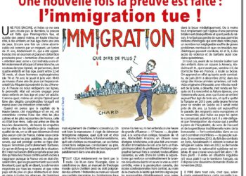 Une nouvelle fois la preuve est faite : l’immigration tue !