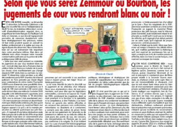 Hebdo – Nouveauté : Selon que vous serez Zemmour ou Bourbon, les jugements de cour vous rendront blanc ou noir ! – Rivarol