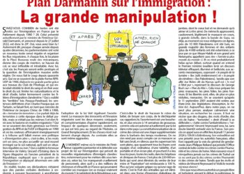 Plan Darmanin sur l’immigration : la grande manipulation !